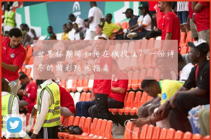 世界杯期间如何在线投注?一份详尽的购彩防坑指南