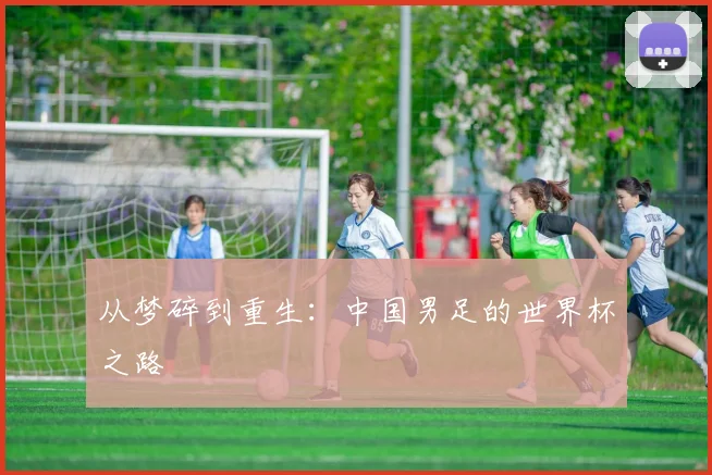 从梦碎到重生：中国男足的世界杯之路