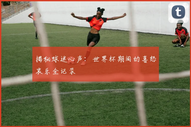揭秘球迷心声：世界杯期间的喜怒哀乐全记录