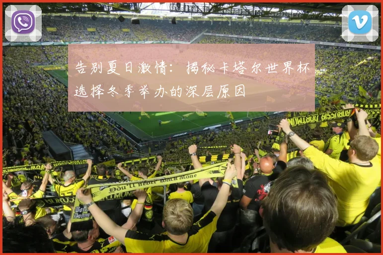 告别夏日激情：揭秘卡塔尔世界杯选择冬季举办的深层原因