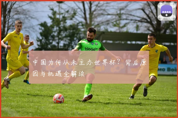 中国为何从未主办世界杯？背后原因与机遇全解读