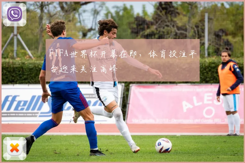 FIFA世界杯开幕在即，体育投注平台迎来关注高峰